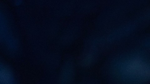 Gobernadores no asistirán a reunión con Trump en la Casa Blanca tras invitación exclusiva a republicanos