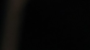 Trump protagonizó cena en la Casa Blanca con gobernadores, sin presencia de demócratas