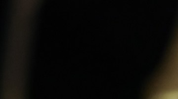 Trump protagonizó cena en la Casa Blanca con gobernadores, sin presencia de demócratas