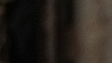 Trump exige a los demócratas del Congreso restaurar de inmediato los fondos del DHS y aprobar la Ley SAVE