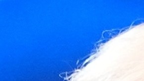 Choque entre Donald Trump y Gavin Newsom por posible candidatura presidencial en 2028