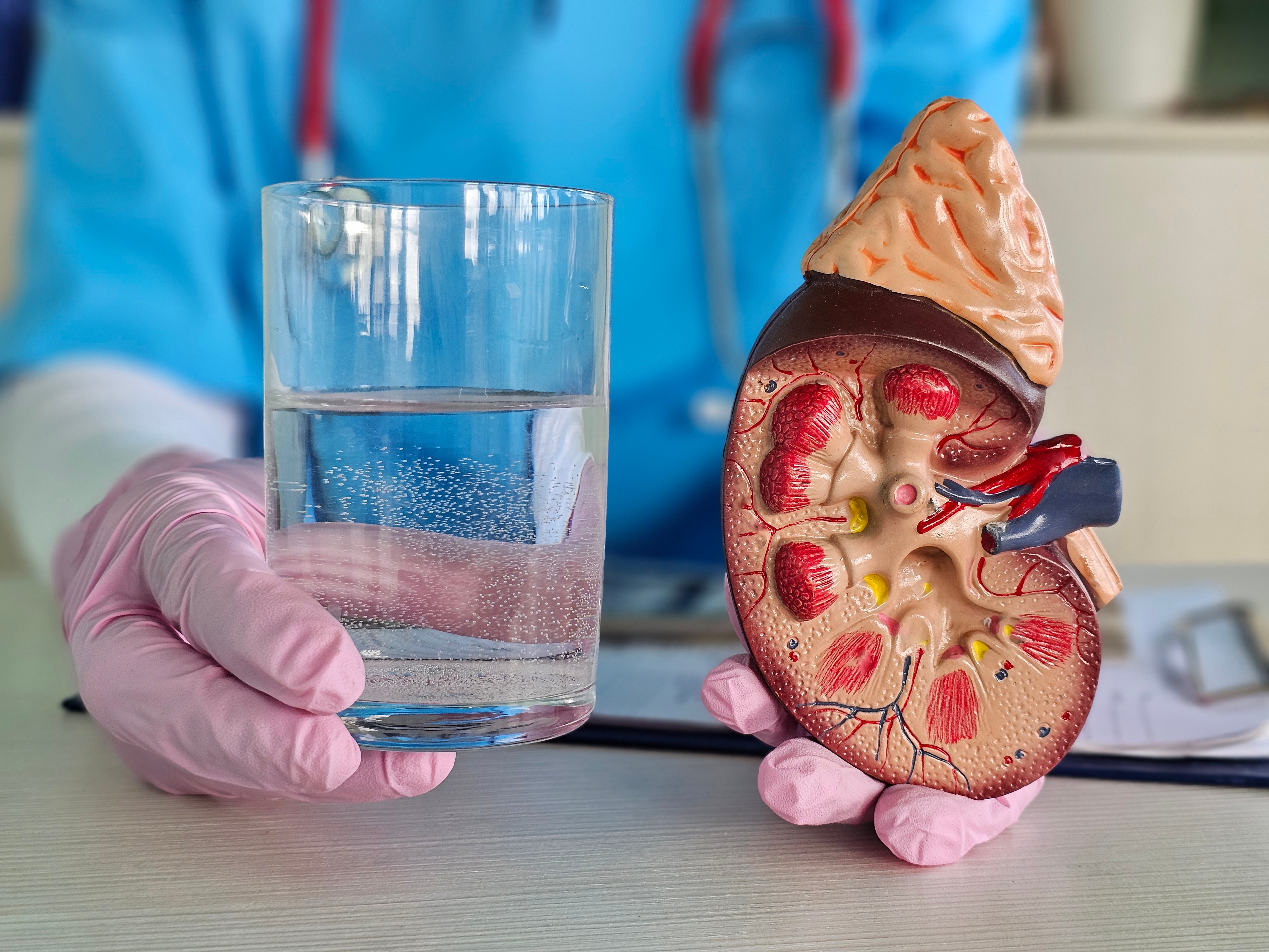 ¿El agua mineral daña los riñones? Esto dice la ciencia - El Diario NY