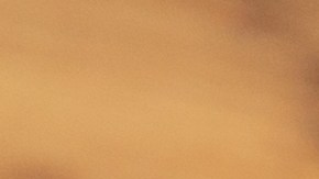 El amor es el lenguaje universal de la cocina. Según la gastronomía científica, el afecto transforma nuestra experiencia sensorial al comer.