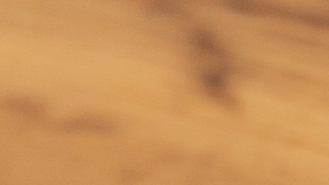 El amor es el lenguaje universal de la cocina. Según la gastronomía científica, el afecto transforma nuestra experiencia sensorial al comer.