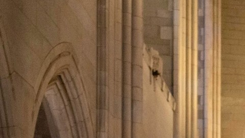 Trump pide al Congreso aprobar la Ley SAVE para endurecer requisitos de voto en EE.UU.