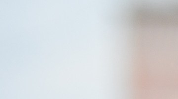 empleo-jardinero-nueva-york-bronx