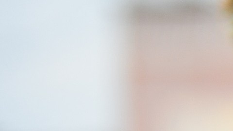 empleo-jardinero-nueva-york-bronx