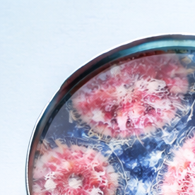 Formulario de prueba de enfermedades de transmisión sexual con muestra de laboratorio y preservativos sobre fondo clínico