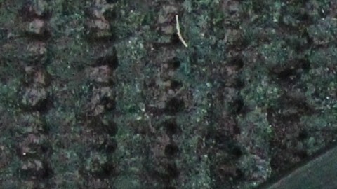 entender créditos y préstamos en español