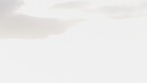 Trump exige desmilitarización total de Hamás y anuncia fondo de $5,000 millones para Gaza