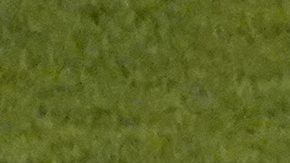 Armando ‘La Hormiga’ González con la selección mexicana.