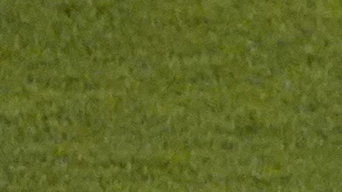 Armando ‘La Hormiga’ González con la selección mexicana.