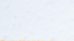 grupo de estudio de inglés