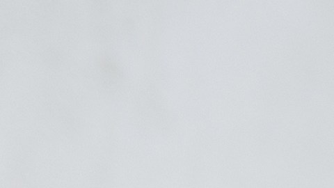 hablar inglés en cita médica