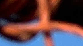 ACLU demanda a autoridades de Idaho por redada migratoria en un evento familiar