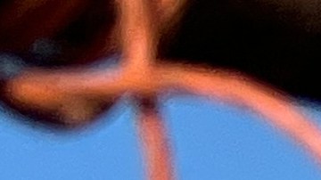 ACLU demanda a autoridades de Idaho por redada migratoria en un evento familiar