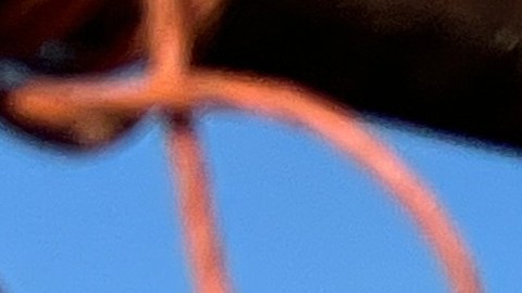 ACLU demanda a autoridades de Idaho por redada migratoria en un evento familiar