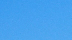 Cubiertas de hielo: así quedaron las plantas de un vivero en Apopka, Florida, después de que los aspersores rociaran agua sobre ellas.