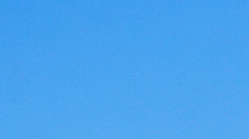 Cubiertas de hielo: así quedaron las plantas de un vivero en Apopka, Florida, después de que los aspersores rociaran agua sobre ellas.