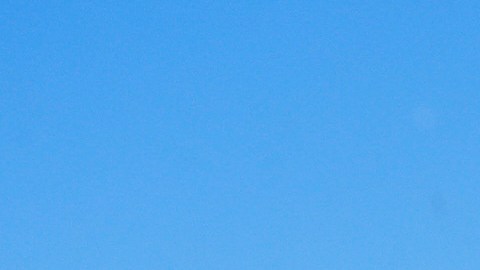 Cubiertas de hielo: así quedaron las plantas de un vivero en Apopka, Florida, después de que los aspersores rociaran agua sobre ellas.