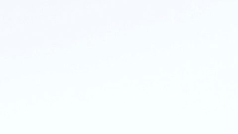 Jake Paul en los Juegos Olímpicos de Invierno.