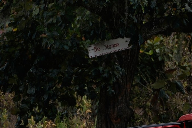 México: al menos 73 muertos en operativo para capturar al Mencho y hechos violentos