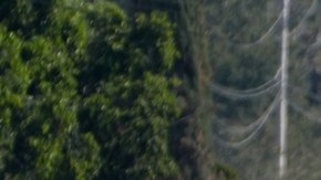 México: al menos 73 muertos en operativo para capturar al Mencho y hechos violentos