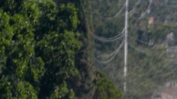 México: al menos 73 muertos en operativo para capturar al Mencho y hechos violentos