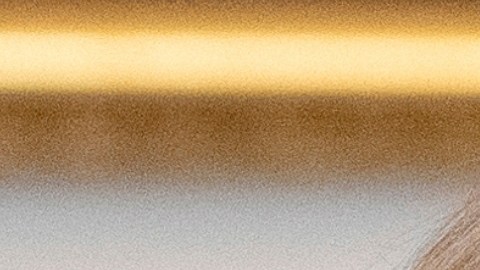 Collage de fotos de la exprimera dama Jill Biden y de la foto policial de su exesposo, William Stevenson.