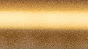 Collage de fotos de la exprimera dama Jill Biden y de la foto policial de su exesposo, William Stevenson.