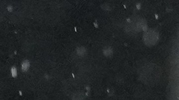 Raul Jimenez en un partido con el Fulham