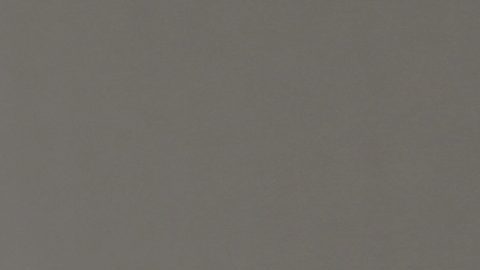 Darron Lee en 2021 con Las Vegas Raiders.