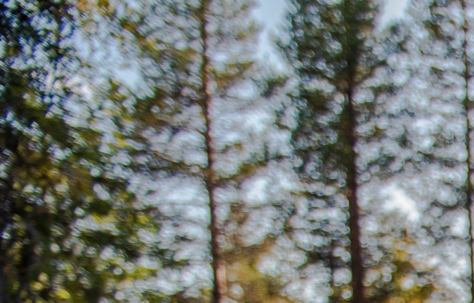 Mesa de madera con café, pan dulce y utensilios frente a una tienda de campaña en un claro de bosque sueco, con humo saliendo de una fogata.