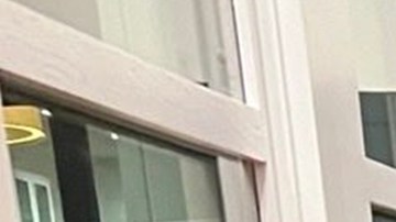 Liam Conejo, niño de 5 años detenido por ICE, ya regresó a Minnesota con su padre