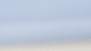 como conservar mejor los alimentos