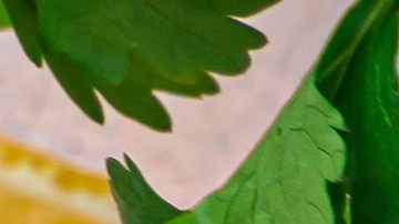 Mayonesa casera espesa en mortero con aceite de oliva virgen extra y limón.