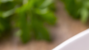 Plato con pechuga de pollo a la parrilla, ensalada fresca y mayonesa con ajo servida al lado