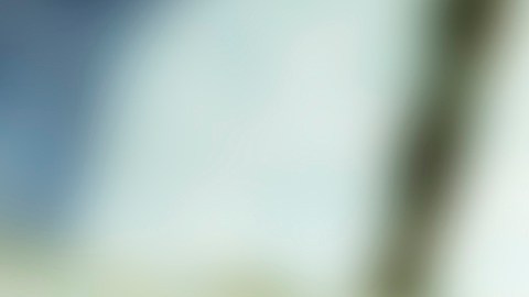 numeros-seguro-social-fraude