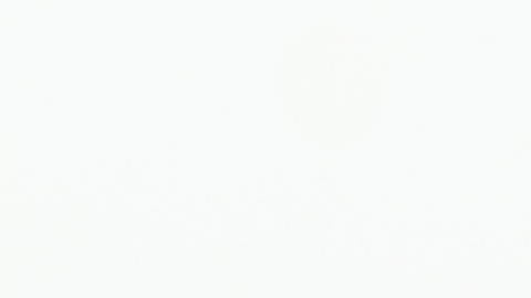 pago-directo-mil-dolares-19-de-febrero