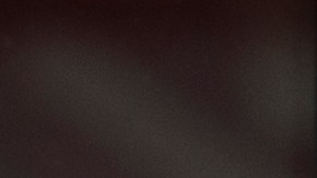 Como es habitual, el pago de SNAP se deposita mensualmente en la tarjeta EBT, que puede utilizarse en supermercados y tiendas autorizadas.