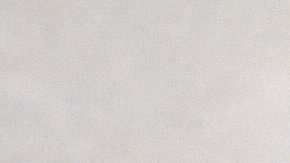 Perros callejeros en una zona urbana del norte de África en contexto de preparativos para evento deportivo internacional