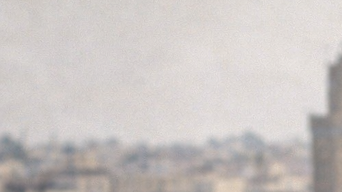 Perros callejeros en una zona urbana del norte de África en contexto de preparativos para evento deportivo internacional