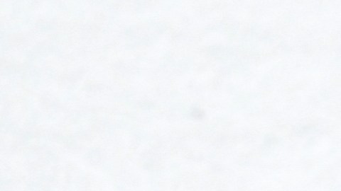 El año bisiesto afecta directamente el mes de febrero, dejando una curiosidad latente: los nacidos un día 29.