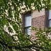 De darse, la congelación de la renta solo aplicaría a los apartamentos con contratos de renta estabilizada no a los llamados apartamentos “de mercado” con niveles de alquiler no regulados.