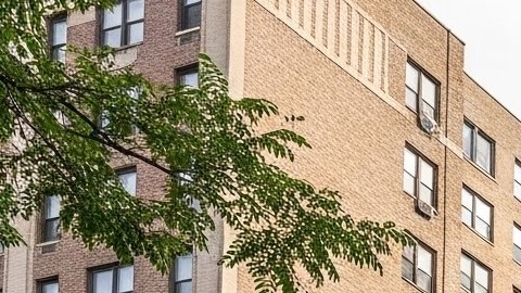 De darse, la congelación de la renta solo aplicaría a los apartamentos con contratos de renta estabilizada no a los llamados apartamentos “de mercado” con niveles de alquiler no regulados.