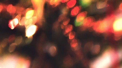 Acacia Network presta  servicios a las comunidades vulnerables en las áreas de salud primaria, vivienda, servicios de salud mental y adicción, entre otras.