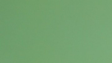 seguro-social-1491-dolares-febrero-2026