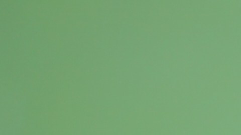 seguro-social-1491-dolares-febrero-2026