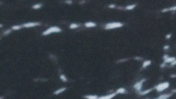 seguro-social-pago-mensual-febrero-2026