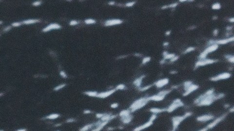 seguro-social-pago-mensual-febrero-2026